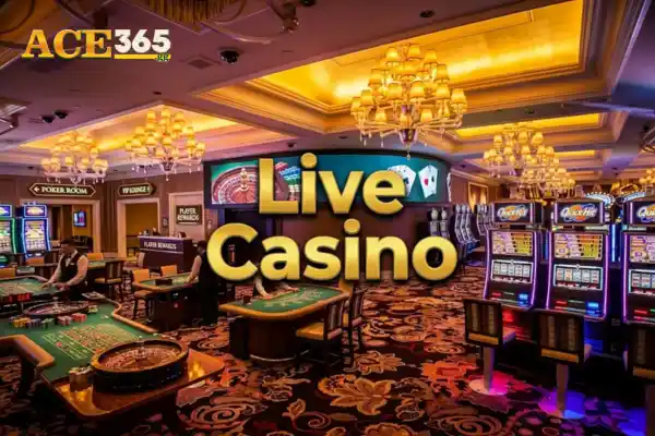 Live Casino Dealer