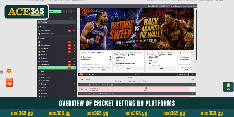 ACE365-এ Cricket Betting BD প্ল্যাটফর্মের ওভারভিউ